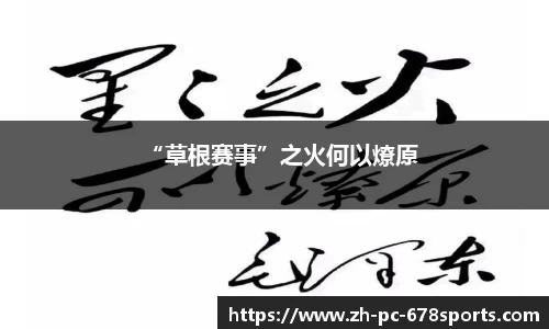 678体育APP